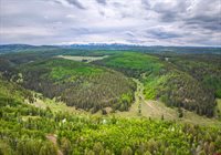 200 Crest Drive, Cimarron, CO 81220