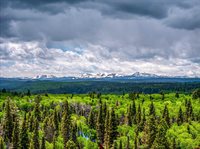 200 Crest Drive, Cimarron, CO 81220