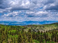 200 Crest Drive, Cimarron, CO 81220