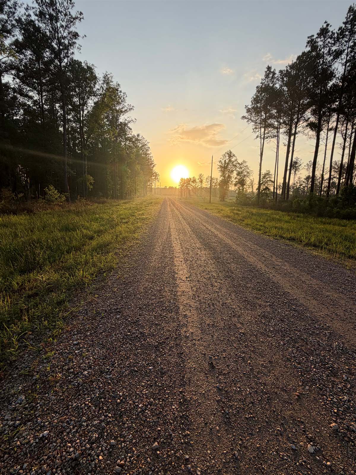 21154, livingston, LA 70754