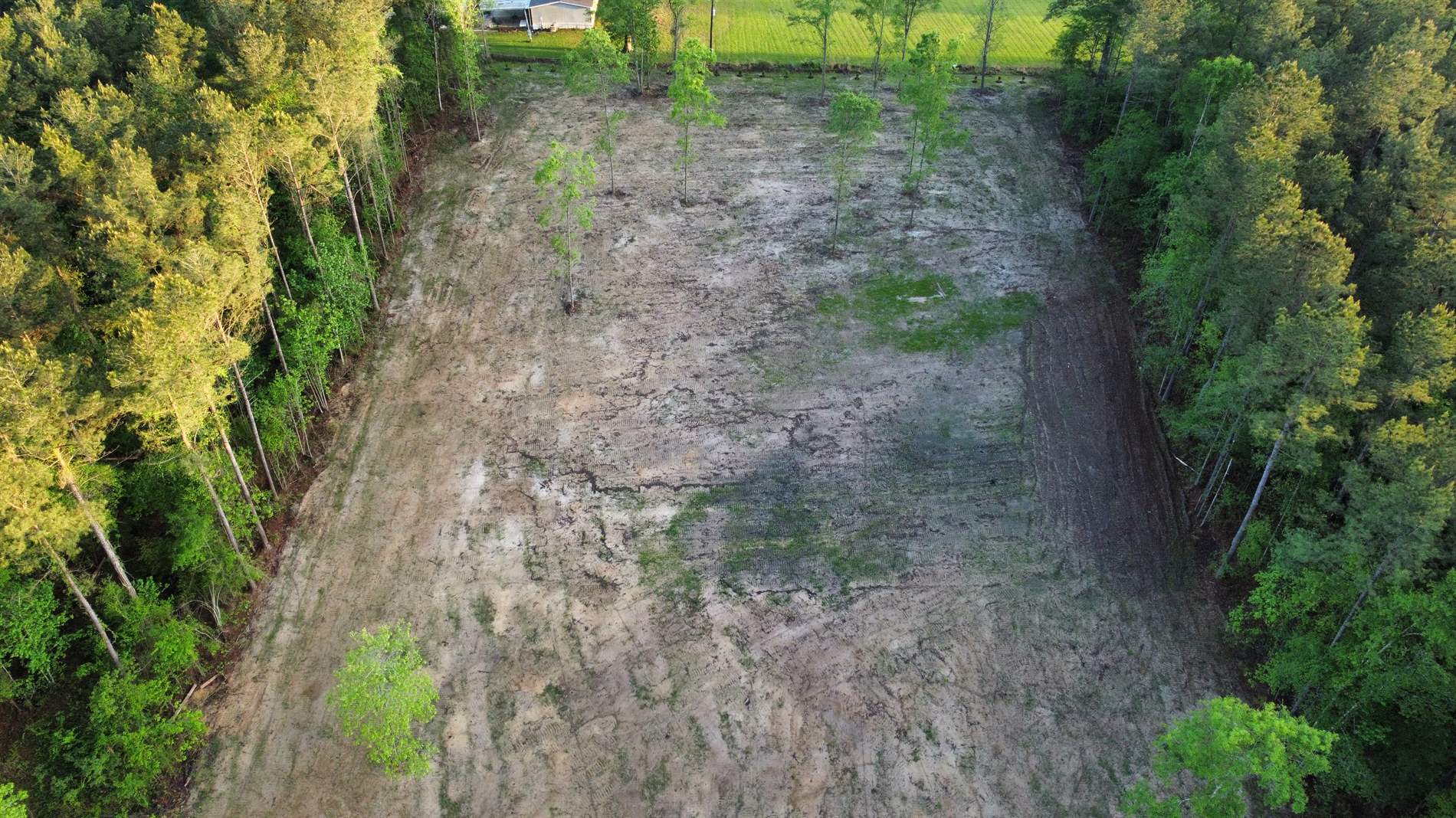 21154, livingston, LA 70754