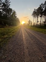 21154, livingston, LA 70754