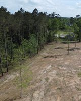 21154, livingston, LA 70754