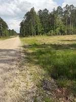 21154, livingston, LA 70754