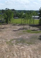 21154, livingston, LA 70754