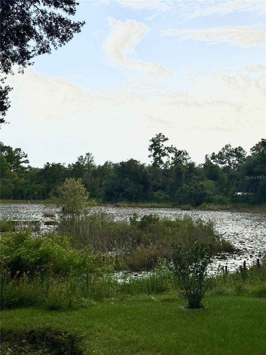 5756 NE 165th Terrace Road, Silver Springs, FL 34488