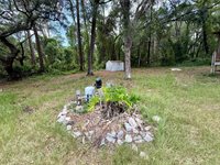 5756 NE 165th Terrace Road, Silver Springs, FL 34488