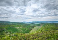 125 Aspen Trail, Cimarron, CO 81220