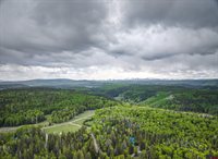 125 Aspen Trail, Cimarron, CO 81220