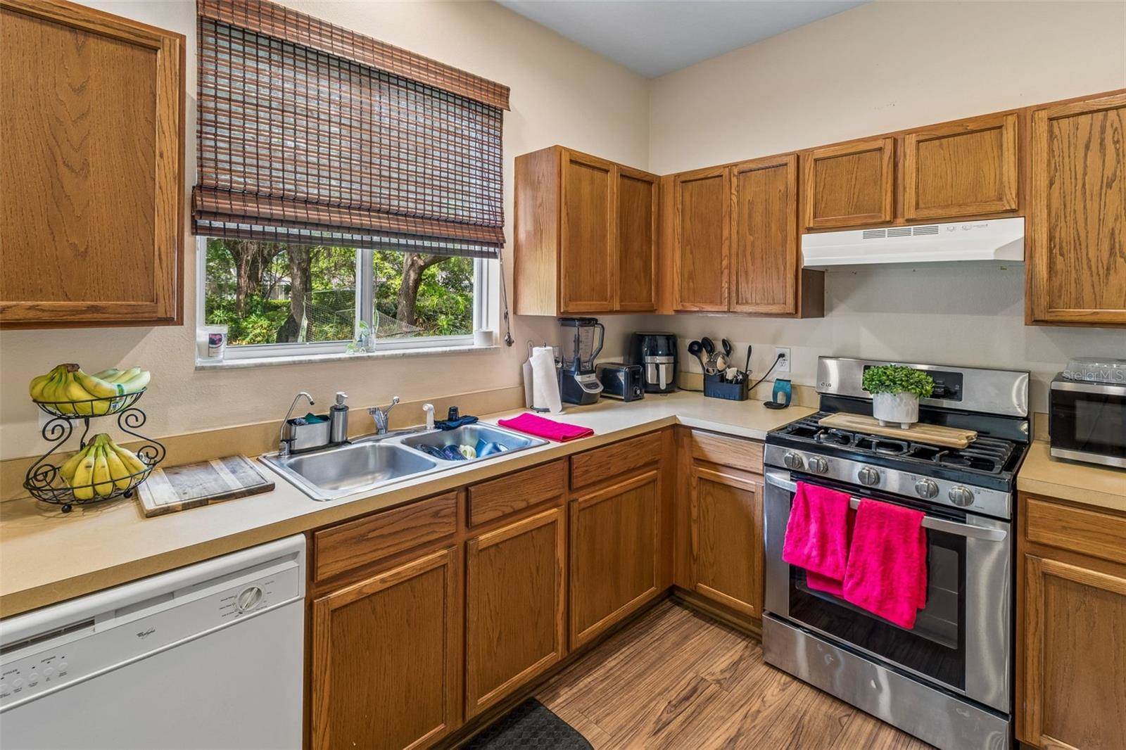 2401 Silvermoss Drive, Wesley Chapel, FL 33544