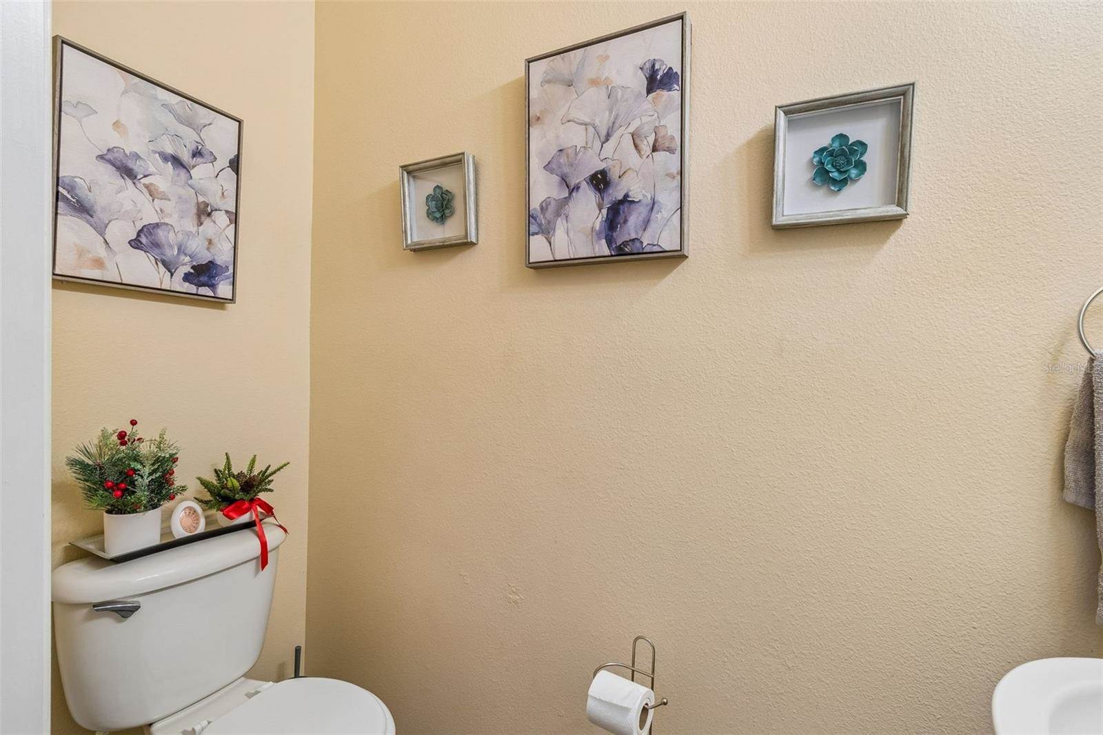 2401 Silvermoss Drive, Wesley Chapel, FL 33544