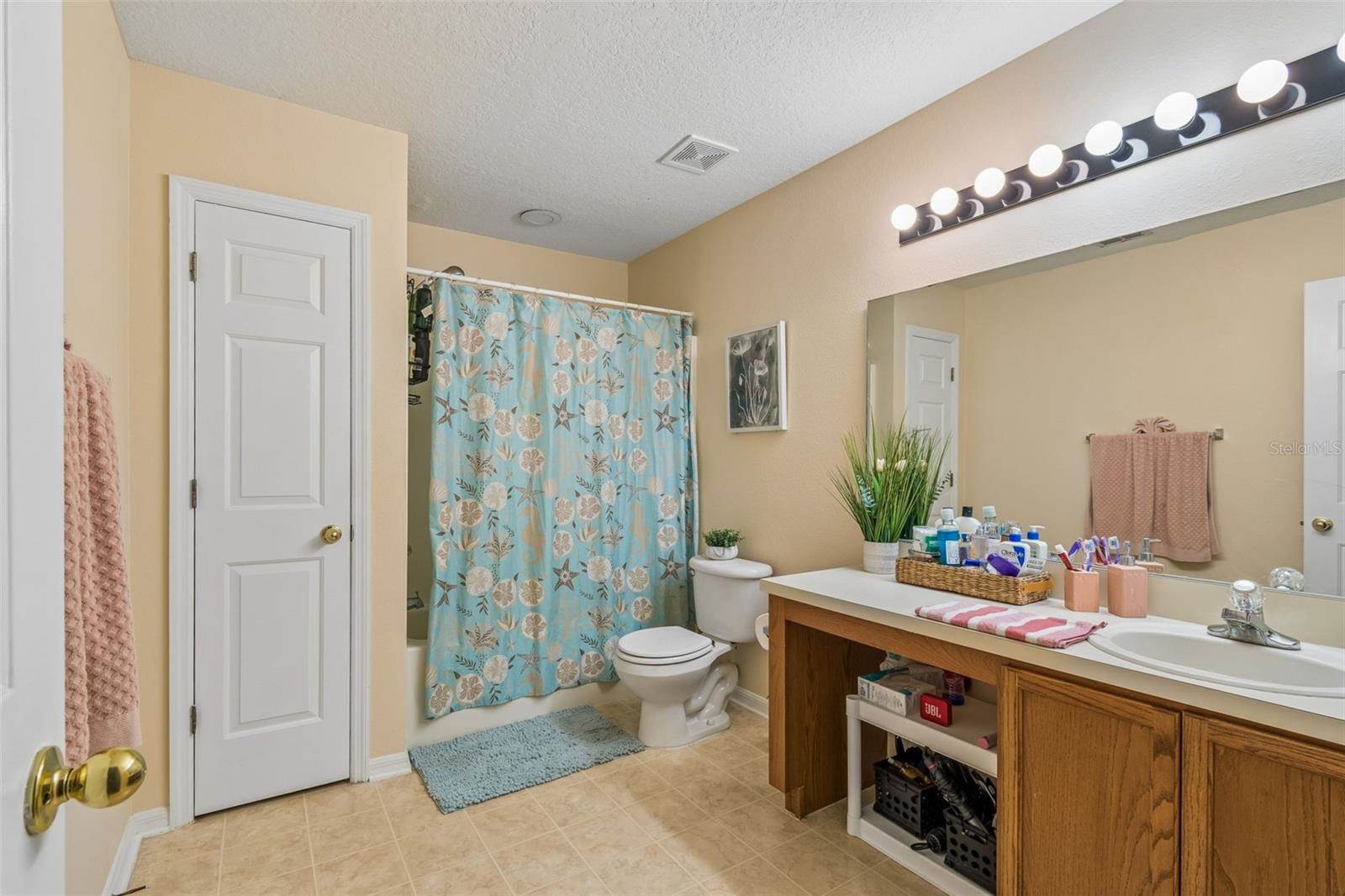 2401 Silvermoss Drive, Wesley Chapel, FL 33544