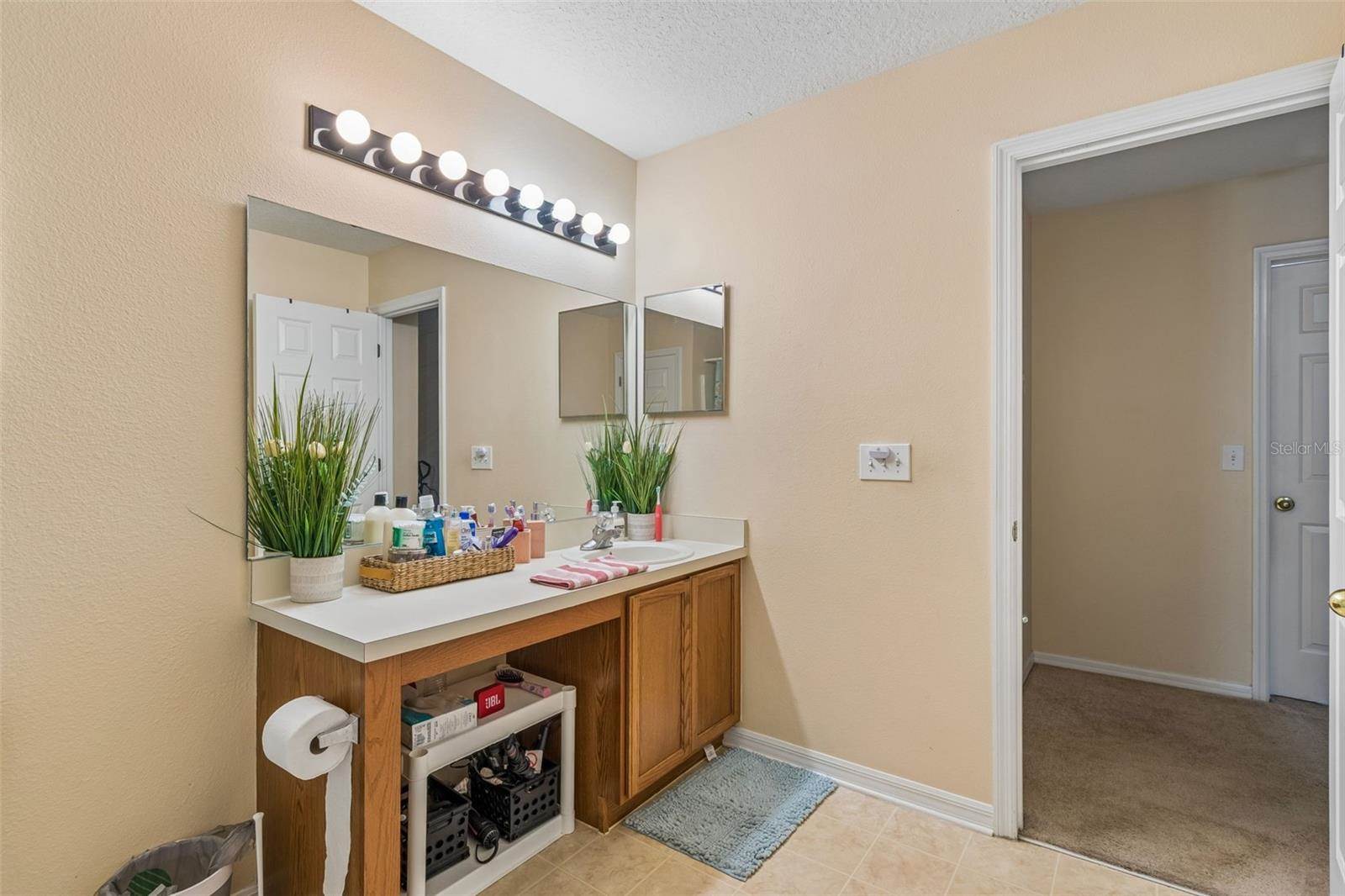 2401 Silvermoss Drive, Wesley Chapel, FL 33544