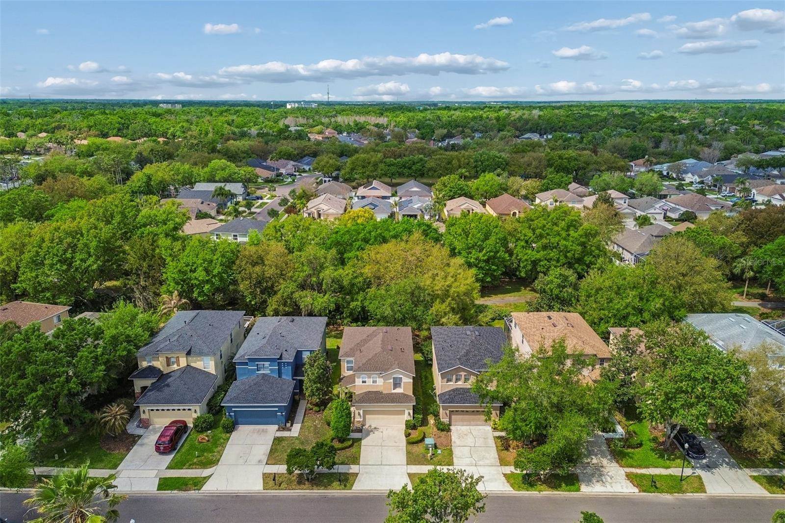 2401 Silvermoss Drive, Wesley Chapel, FL 33544