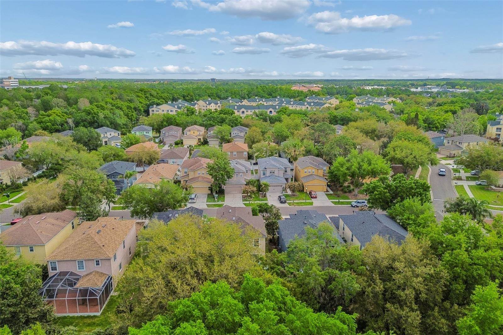 2401 Silvermoss Drive, Wesley Chapel, FL 33544