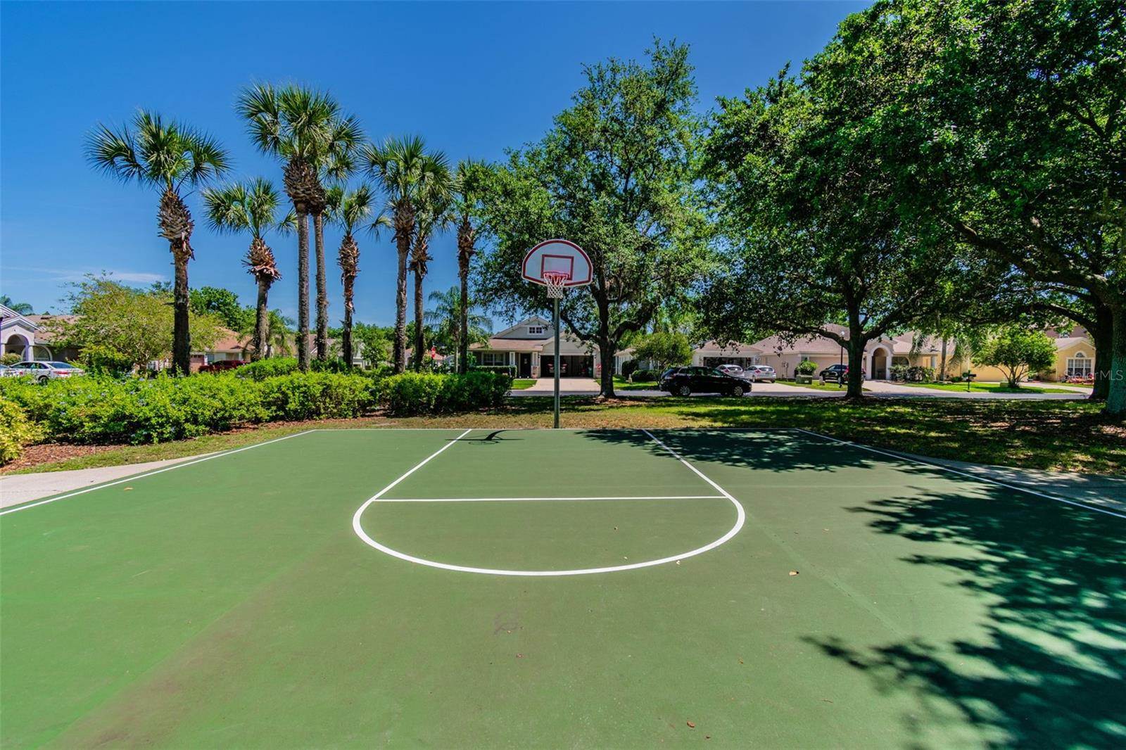 2401 Silvermoss Drive, Wesley Chapel, FL 33544