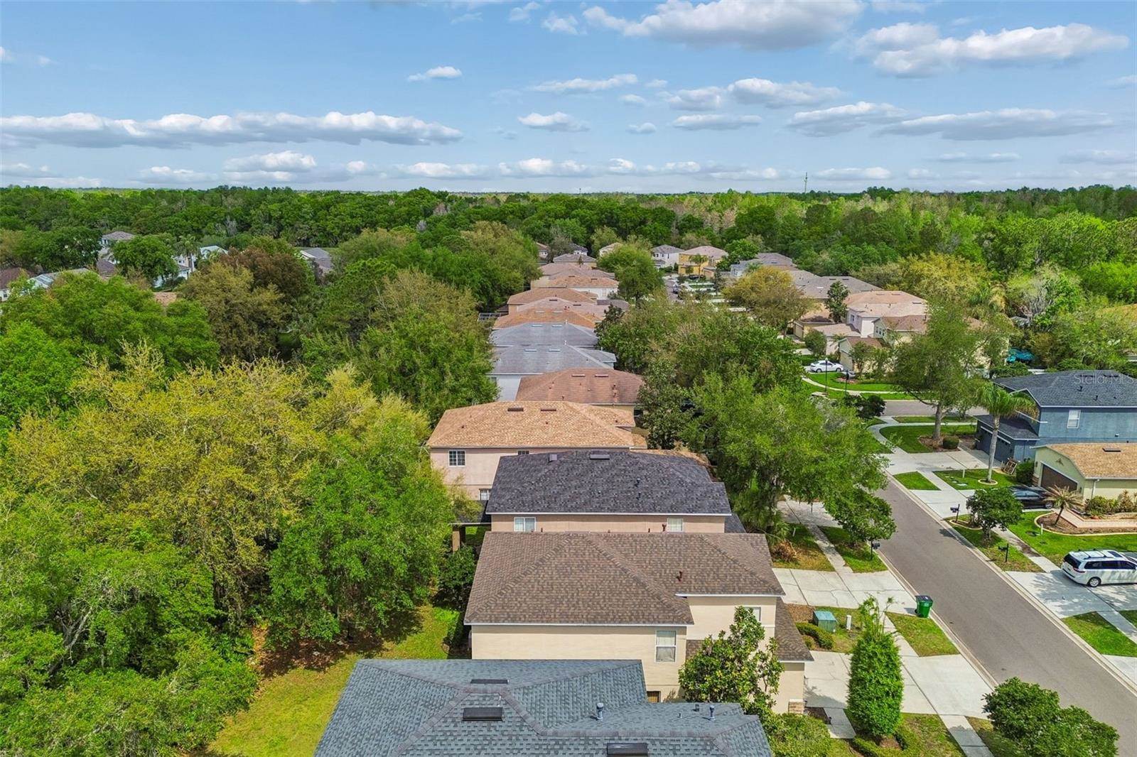 2401 Silvermoss Drive, Wesley Chapel, FL 33544