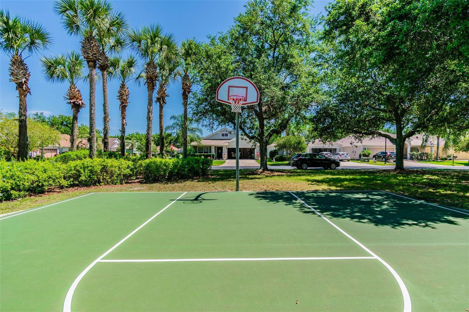 2401 Silvermoss Drive, Wesley Chapel, FL 33544