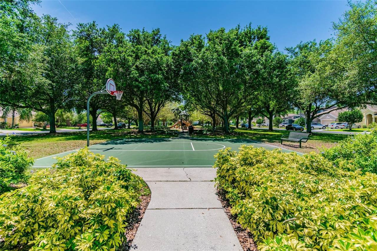 2401 Silvermoss Drive, Wesley Chapel, FL 33544