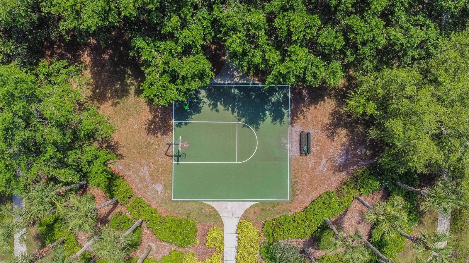 2401 Silvermoss Drive, Wesley Chapel, FL 33544