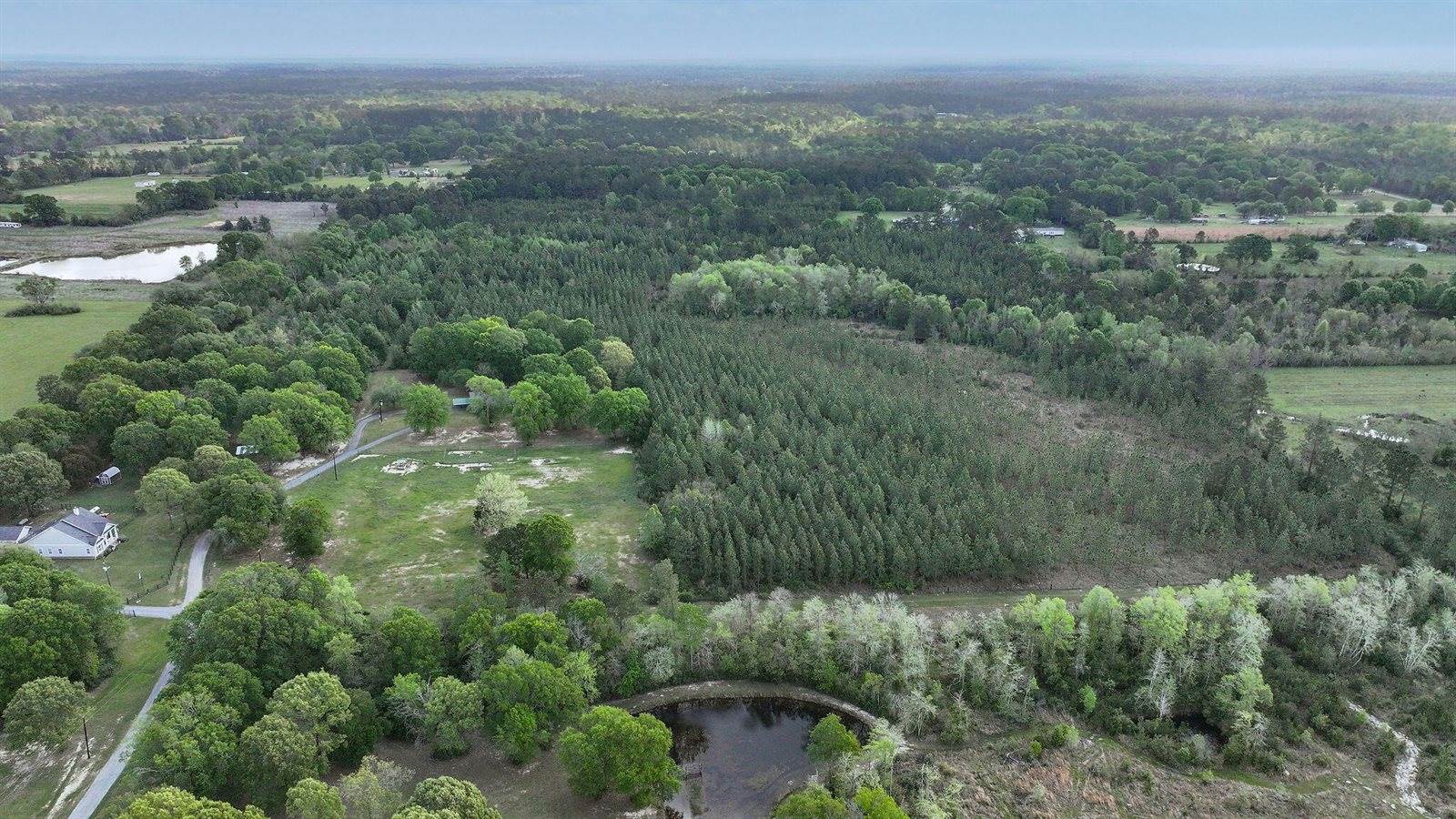405 Dove Ln, Leesville, LA 71446