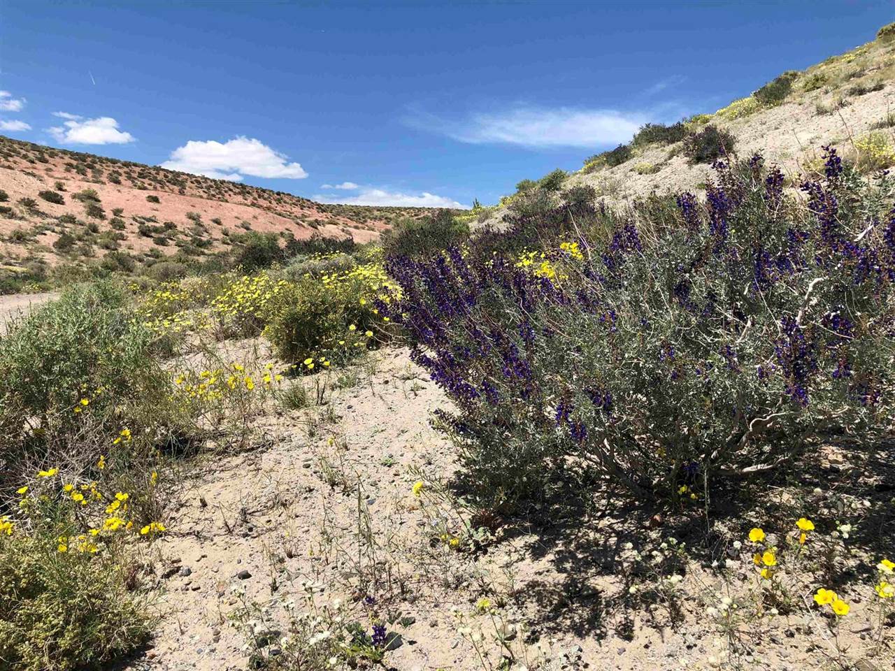 000 Pumice Mill Road, Chalfant, CA 93514