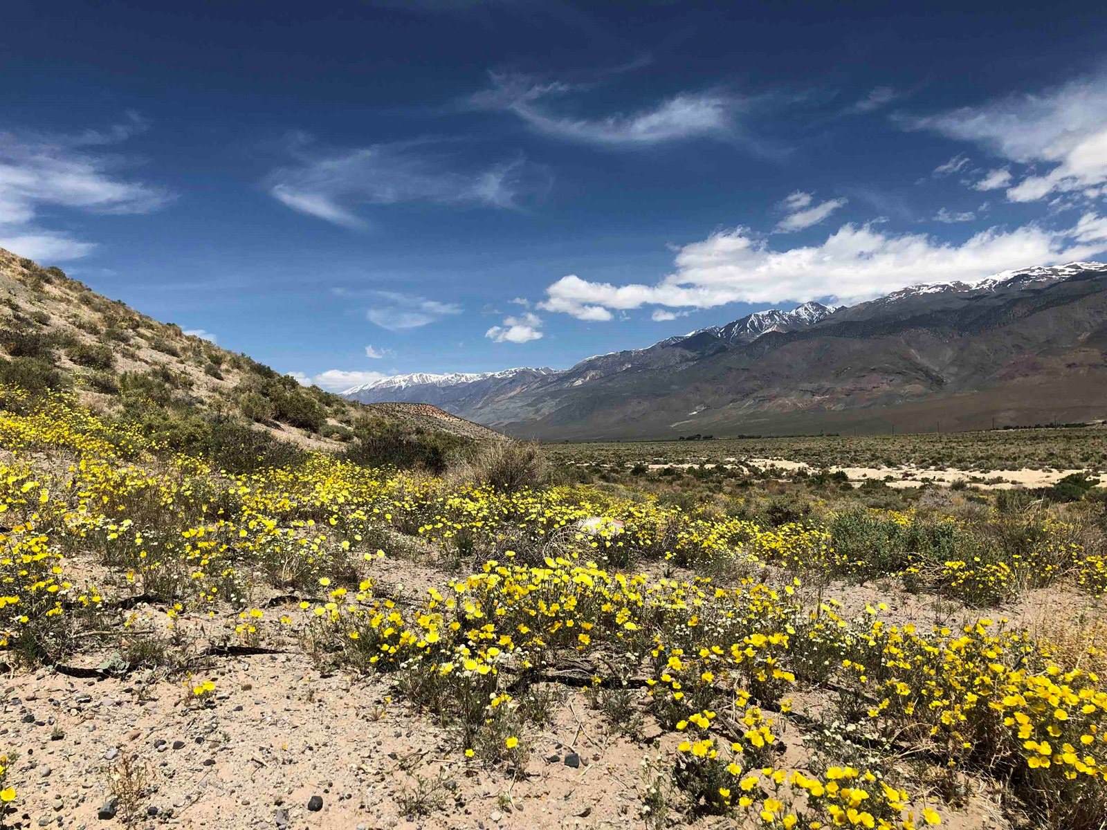 000 Pumice Mill Road, Chalfant, CA 93514