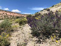 000 Pumice Mill Road, Chalfant, CA 93514