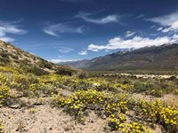 000 Pumice Mill Road, Chalfant, CA 93514