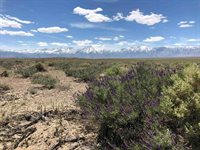 000 Pumice Mill Road, Chalfant, CA 93514