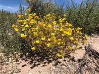 000 Pumice Mill Road, Chalfant, CA 93514