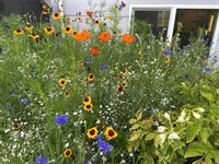 2309 Broadway, Grand Junction, CO 81507