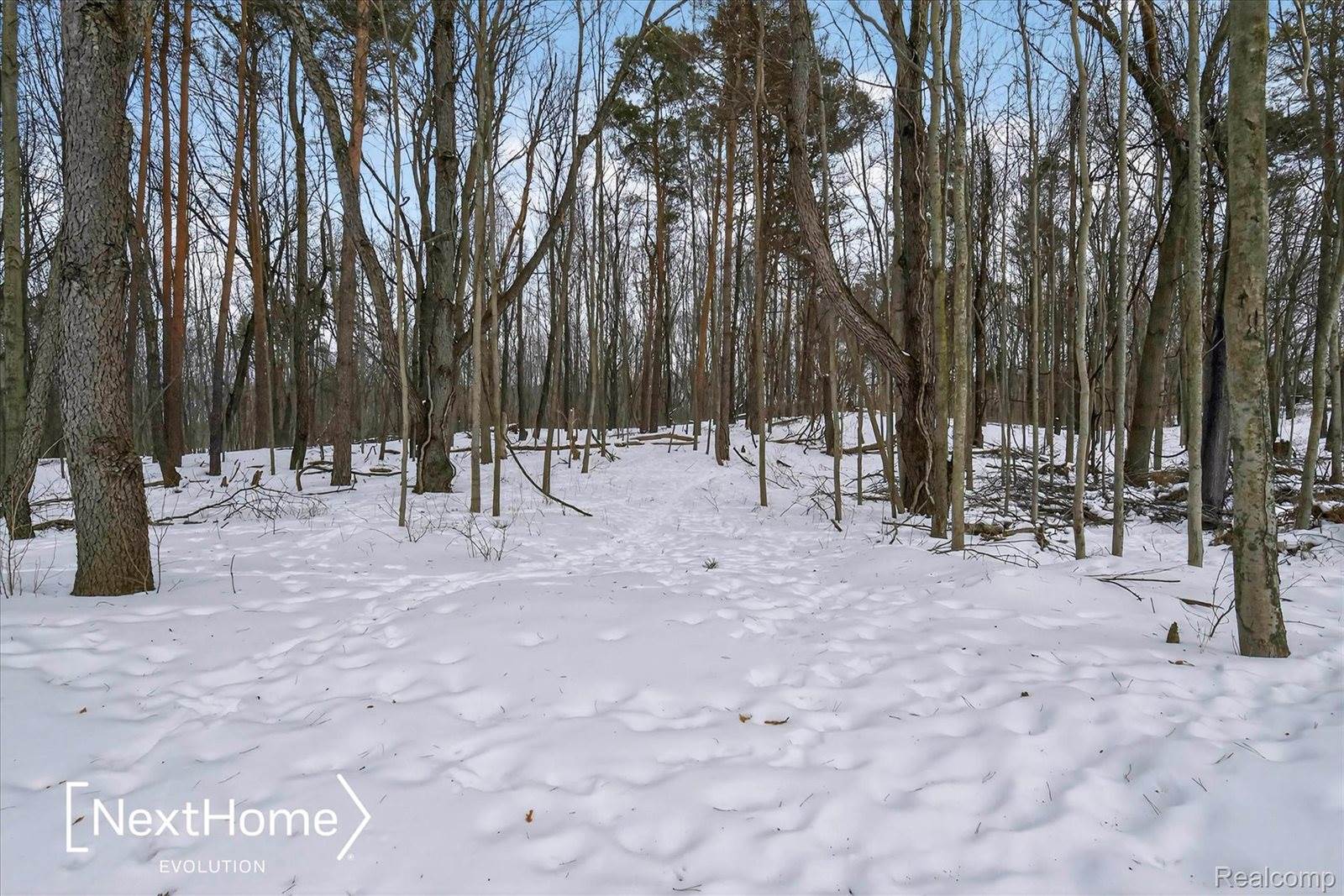 715 Glen Oak Drive, ManchesterVillage_Washtenaw, MI 48158