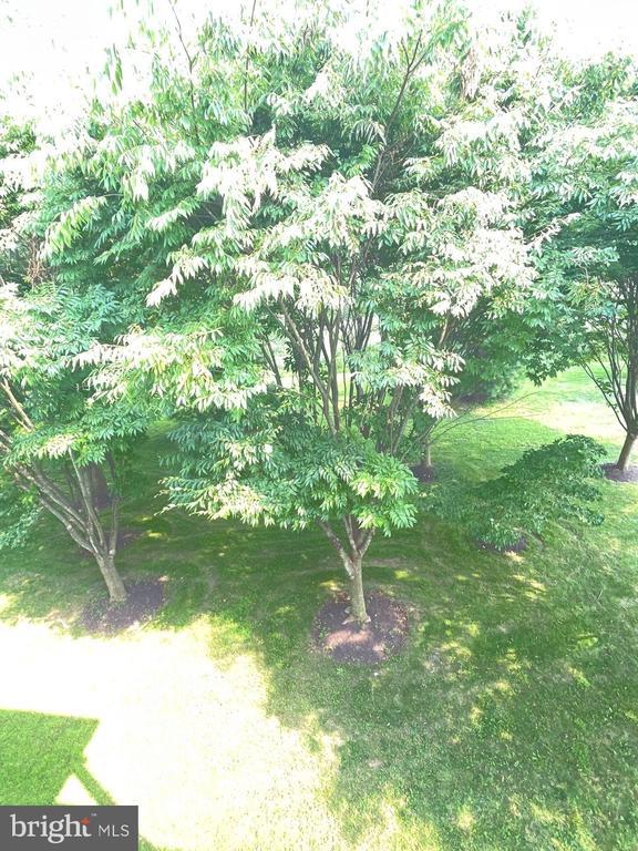 8474 Pamela Way, #105, Laurel, MD 20723