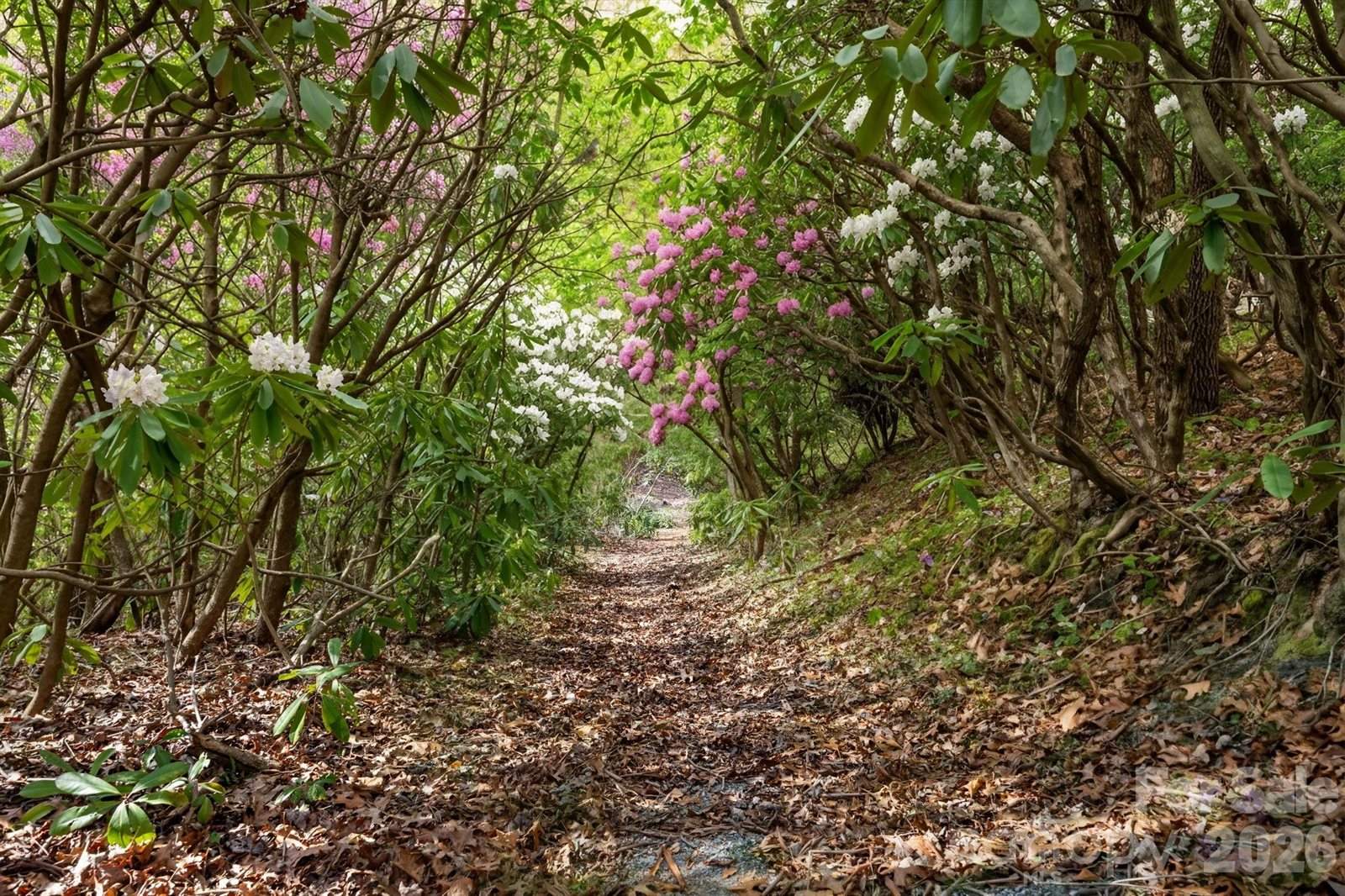 12 Bird Creek Estates Road, Black Mountain, NC 28711