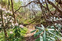 12 Bird Creek Estates Road, Black Mountain, NC 28711