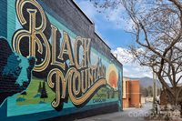 12 Bird Creek Estates Road, Black Mountain, NC 28711