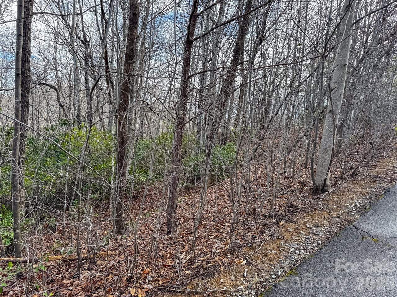 9999 Rainbow Falls Trail, Black Mountain, NC 28711