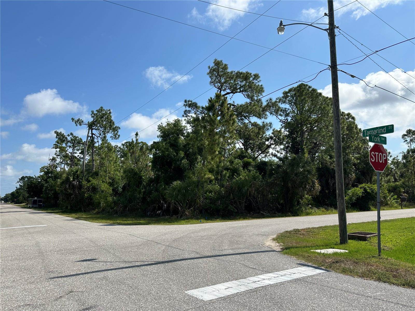 18038 York Avenue, Port Charlotte, FL 33948