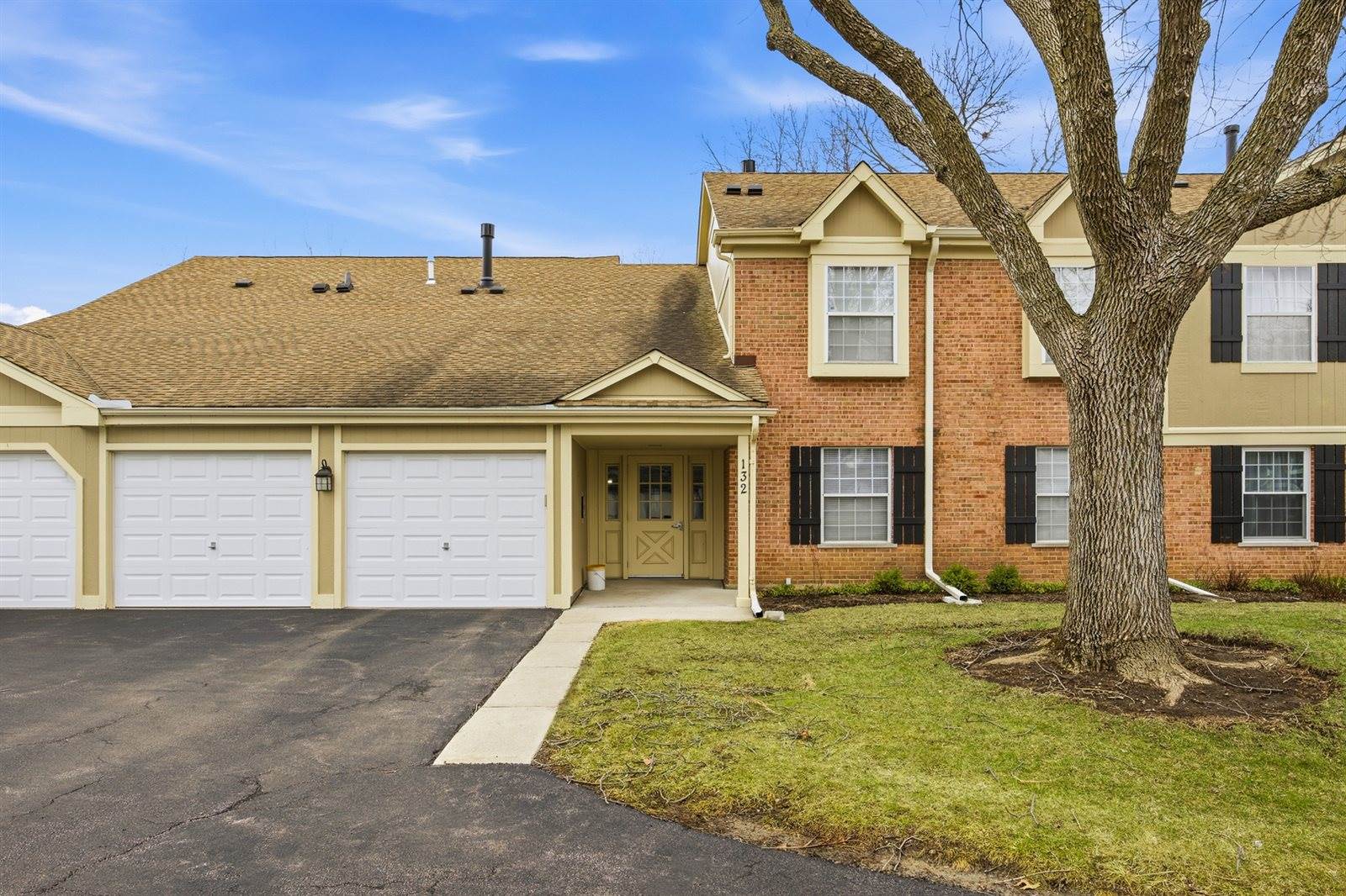 132 Wolcott Court, #M1, Schaumburg, IL 60193