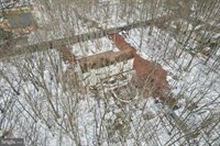 244 Tenawa Road, Albrightsville, PA 18210