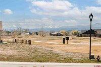 2125 Fellows Drive, Montrose, CO 81401