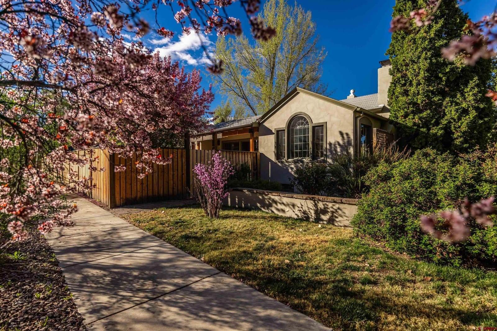1146 S 2nd, Montrose, CO 81401
