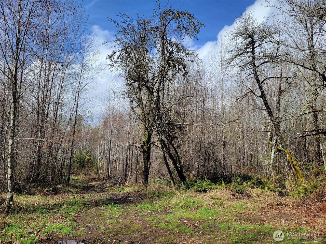 1840 West Deegan Road, Shelton, WA 98584