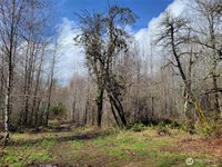 1840 West Deegan Road, Shelton, WA 98584
