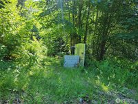 1840 West Deegan Road, Shelton, WA 98584