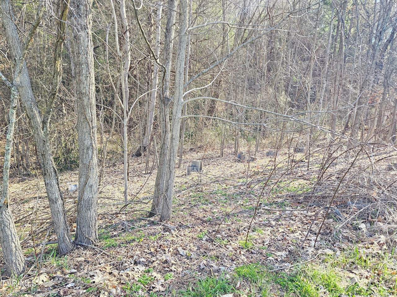 1843 Saint Clairs Creek Road, Chilhowie, VA 24319