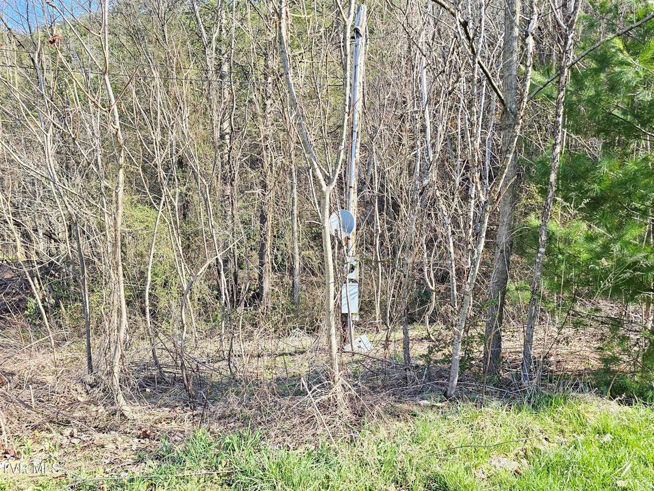 1843 Saint Clairs Creek Road, Chilhowie, VA 24319