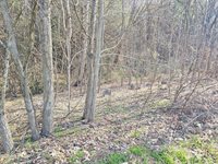 1843 Saint Clairs Creek Road, Chilhowie, VA 24319