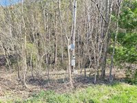 1843 Saint Clairs Creek Road, Chilhowie, VA 24319